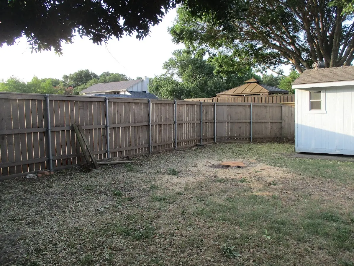 Cleared yard after professional tree removal in Riverdale